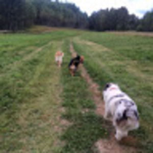 Meet your Posher, Miriam